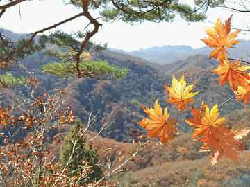 天水成紀(jì)新城最新動(dòng)態(tài)，蓬勃發(fā)展中的未來(lái)之城